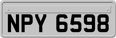 NPY6598