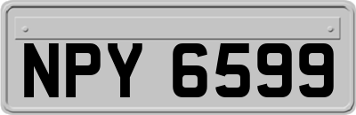 NPY6599