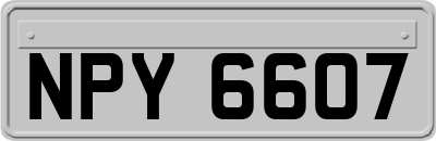 NPY6607