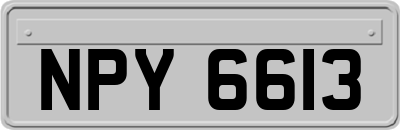 NPY6613
