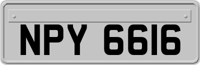 NPY6616