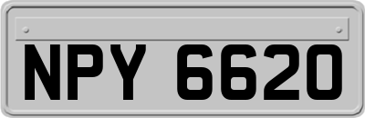 NPY6620