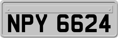 NPY6624