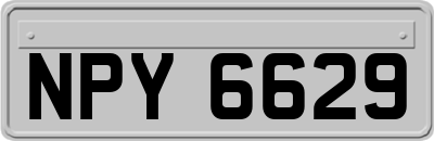 NPY6629