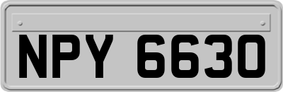 NPY6630