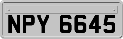 NPY6645