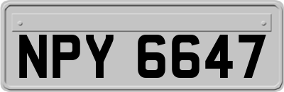 NPY6647