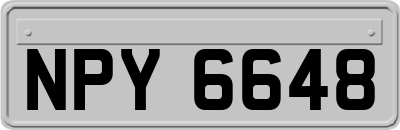 NPY6648
