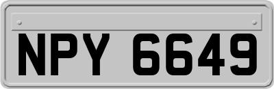NPY6649