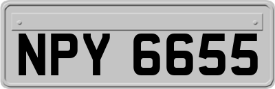NPY6655