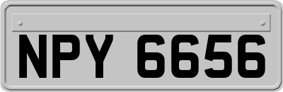 NPY6656