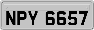 NPY6657