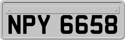 NPY6658
