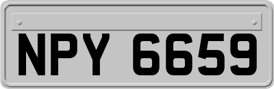 NPY6659