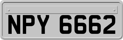 NPY6662