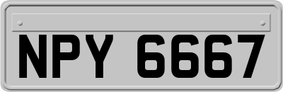 NPY6667