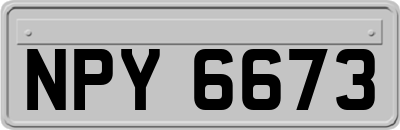 NPY6673