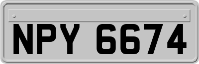 NPY6674
