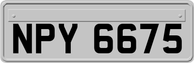 NPY6675