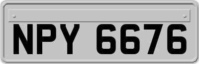 NPY6676
