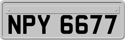 NPY6677