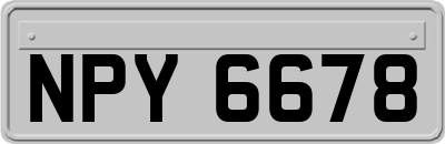 NPY6678