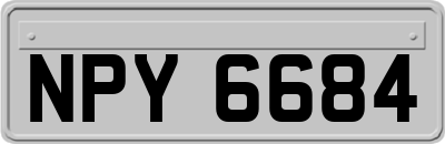 NPY6684