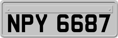 NPY6687