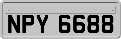 NPY6688