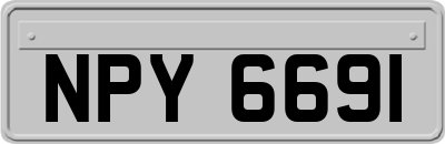 NPY6691