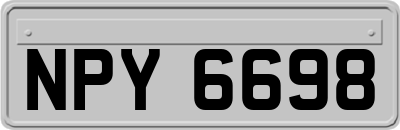 NPY6698