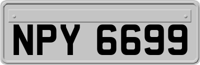 NPY6699