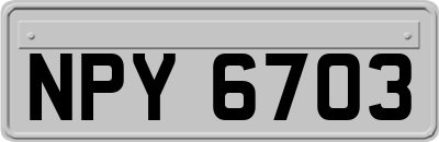 NPY6703