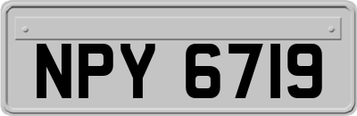 NPY6719