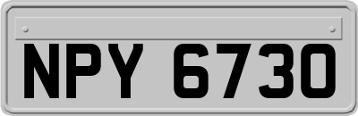 NPY6730