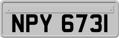 NPY6731