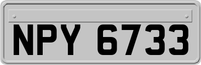 NPY6733