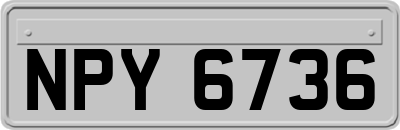 NPY6736