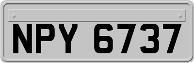 NPY6737