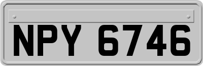 NPY6746