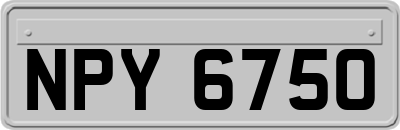 NPY6750