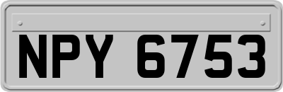 NPY6753