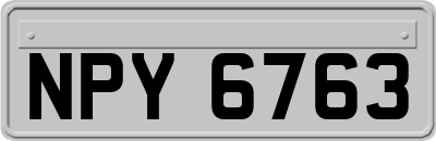 NPY6763