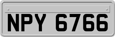 NPY6766