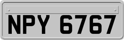 NPY6767