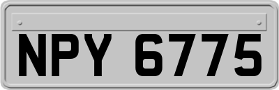 NPY6775