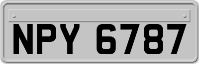 NPY6787