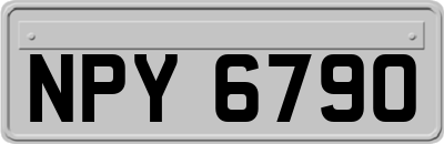 NPY6790