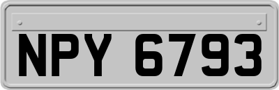 NPY6793