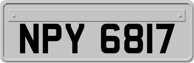 NPY6817